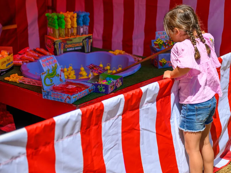 Family Fun Days Image 2